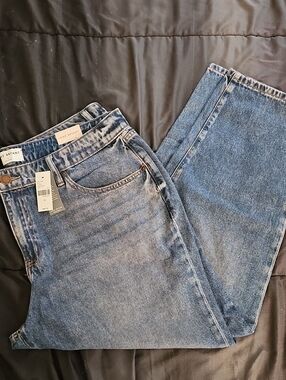 Lane Bryant Women's Light Blue Boyfriend Jeans